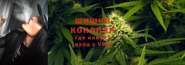 сатива Всеволожск
