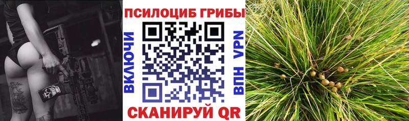 OMG рабочий сайт  Струнино  Галлюциногенные грибы Cubensis  купить наркоту 